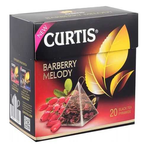 Чай черный Curtis barberry melody 20 пирамидок в Верный