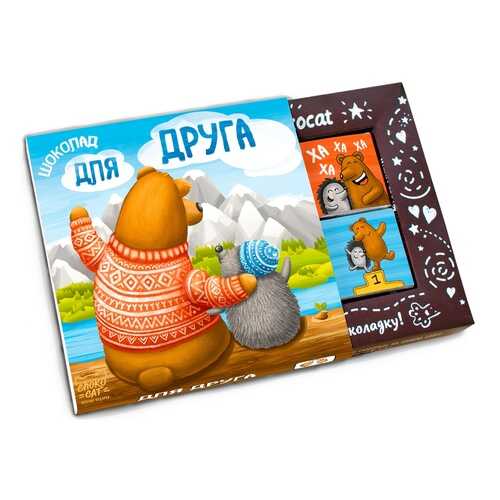 Шоколад Chokocat Для друга, молочный, 60 гр в Верный