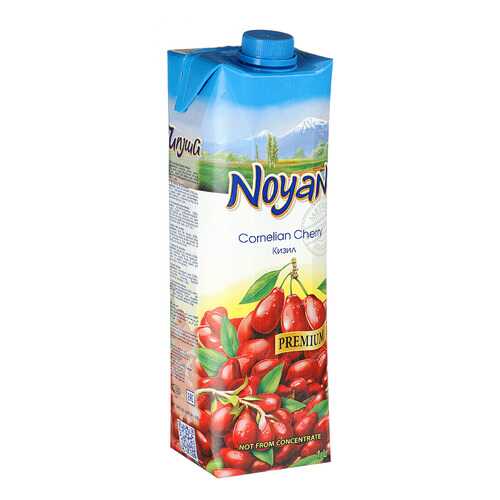 Кизиловый нектар Noyan premium 1л в Верный