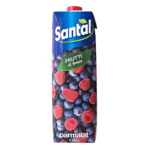 Напиток сокосодержащий Santal лесные ягоды 1 л в Верный